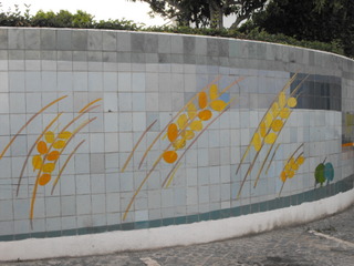 20090509192502.jpg